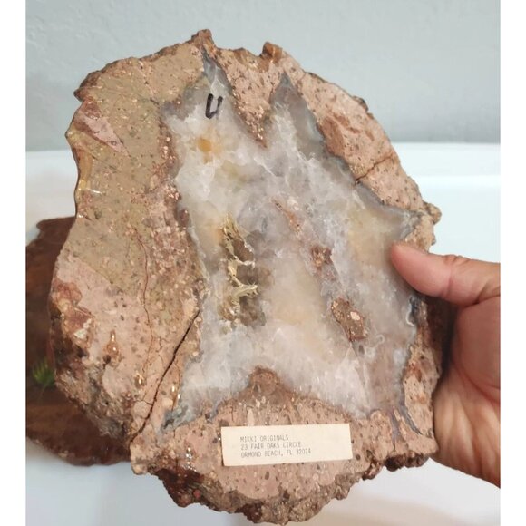 Hand Painted Agate Slab Art Of English Springer Spaniel Portrait 8x7" Signed - Picture 5 of 11